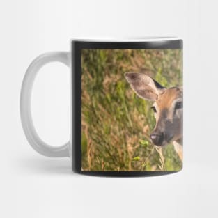 Mule Deer Saying Hello Mug